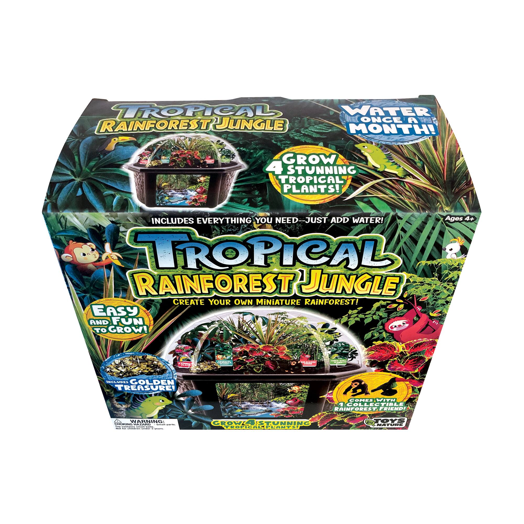 Biosphere Terrarium - Tropical Rainforest Jungle
